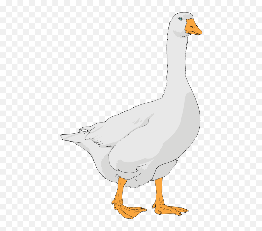 Clipart Duck Goose Clipart Duck Goose Transparent Free For - Goose Clipart Emoji,Goose Emoji