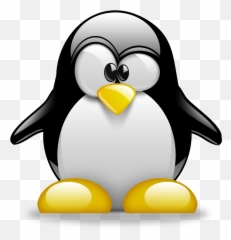 Pin - Penguin With Six Pack Emoji