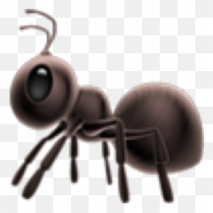 Popular And Trending Rage Stickers - Entomologist Rates Ant Emojis