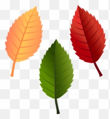 Leaves Clipart To Color Emoji,Fall Leaf Emoji