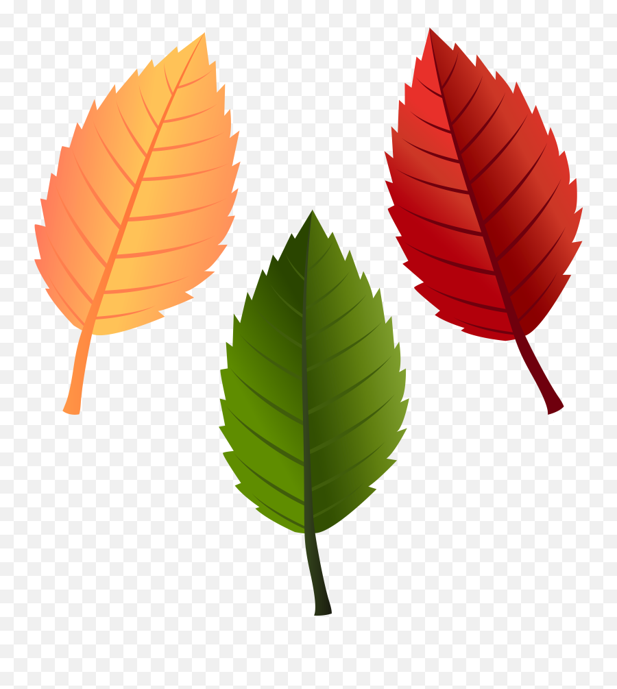Leaves Clipart To Color Emoji,Fall Leaf Emoji