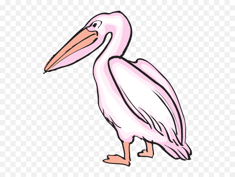 Pelican Clipart - Pink Pelican Clipart Emoji,Pelican Emoji