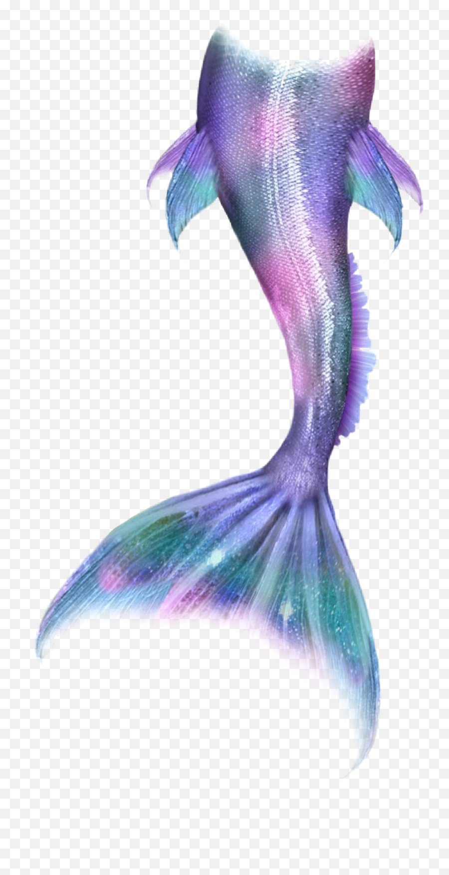 Mermaid Mermaidlife Mermaidtail - Transparent Mermaid Tail Png Emoji,Merman Emoji