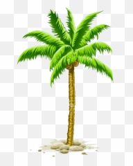 Vector Graphics Clip Art Palm Trees - Beach Coconut Png Emoji