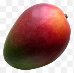 Fresh Mango Png Image - Ataulfo Emoji,Mango Emoji Iphone
