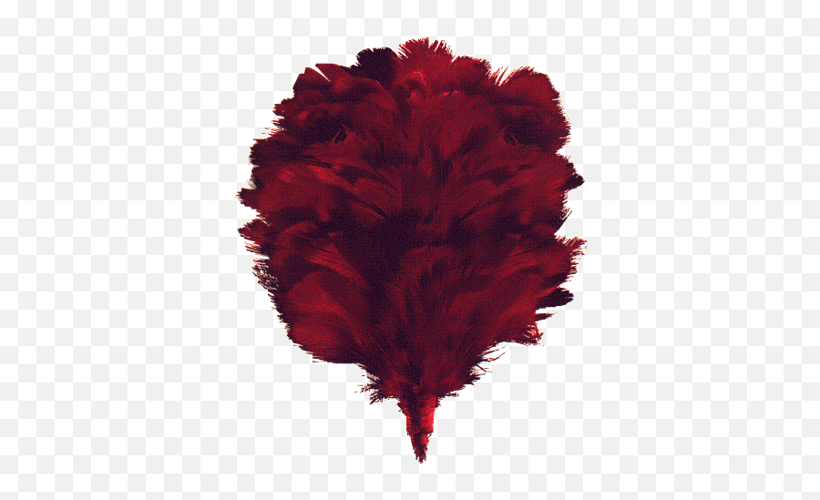 Red Hackle Of The Black Watch 3rd Battalion The Royal - Black Watch Red Hackle Emoji,Scotland Emoji