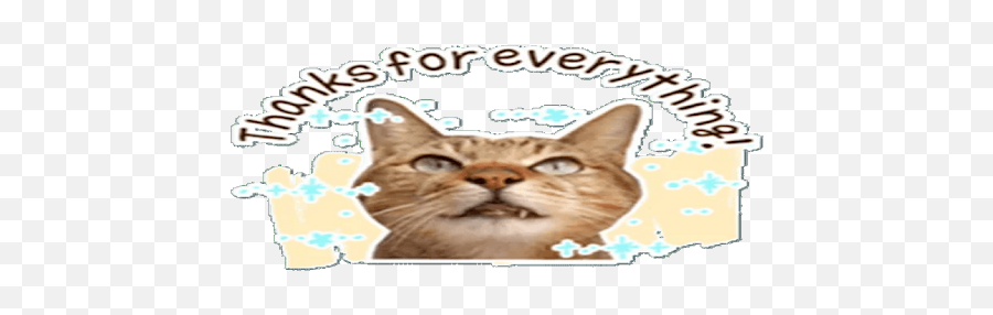Cats Memes Whastickersapps Nuevos - Google Play Domestic Cat Emoji,Cat Heart Emoji Meme