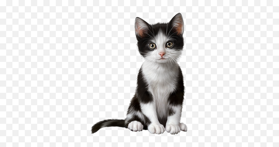 Cute Cats Cute Animals Cats And Kittens - Realistic Clipart Of Cat Emoji,Boy Cat Emoji