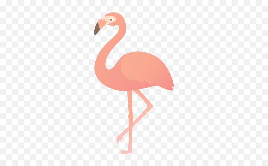 Aphee Messer - Hng Hc Hình V Emoji,Flamingo Emoji