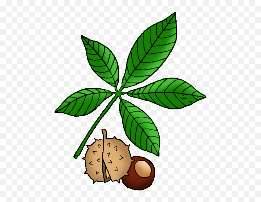Ohio State Tree - Buckeye Clip Art Emoji,Buckeye Emoji