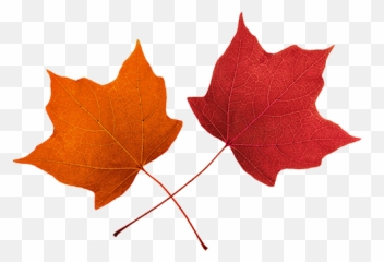 Leaves Blowing In The Wind Drawing Free Download On Clipartmag Animasi Daun Kering Png Emoji Autumn Leaves Emoji Free Transparent Emoji Emojipng Com