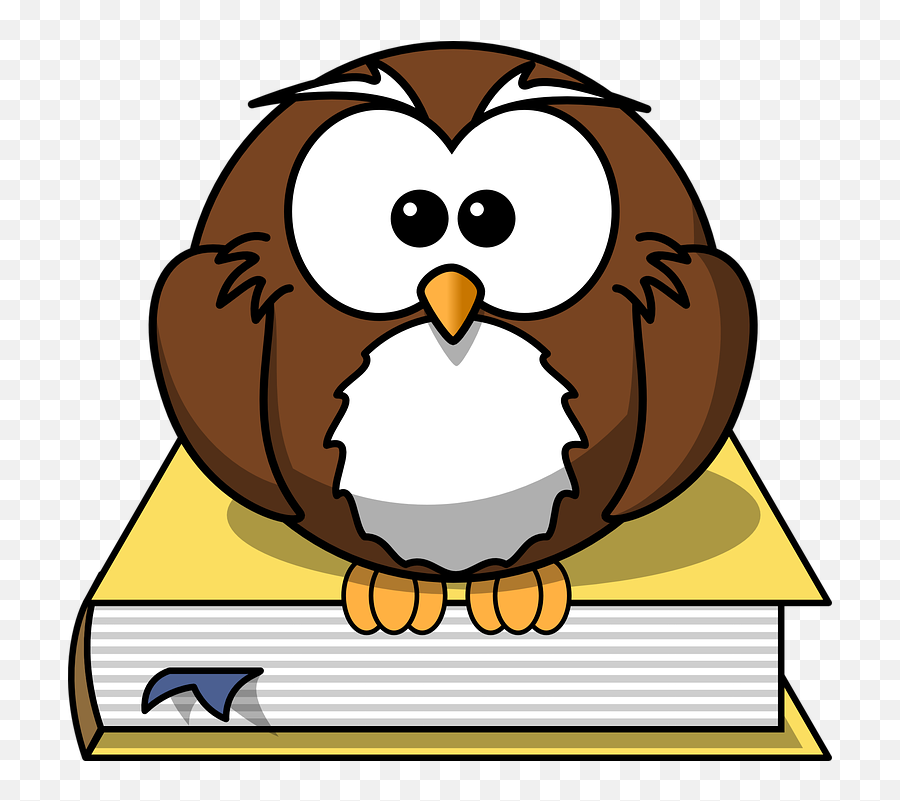 Owl Book Animal Emoji,Emoji Dictionary Book