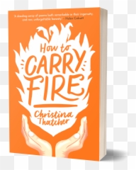 Christina Thatcher - Illustration Emoji,Fire Emotion