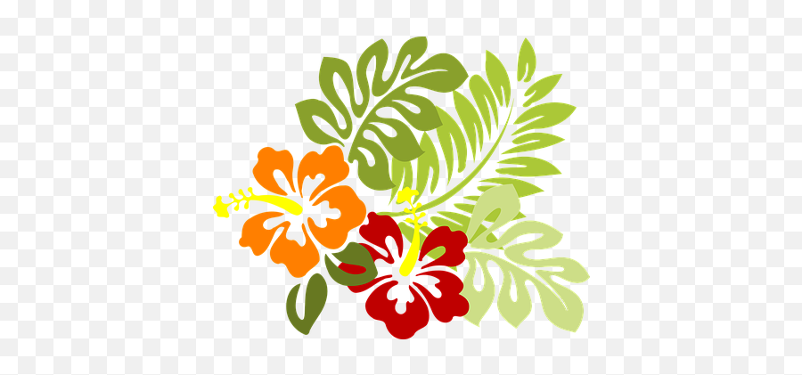 90 Free Orange Flower U0026 Orange Vectors - Pixabay Hibiscus Clip Art Emoji,Hibiscus Emoji
