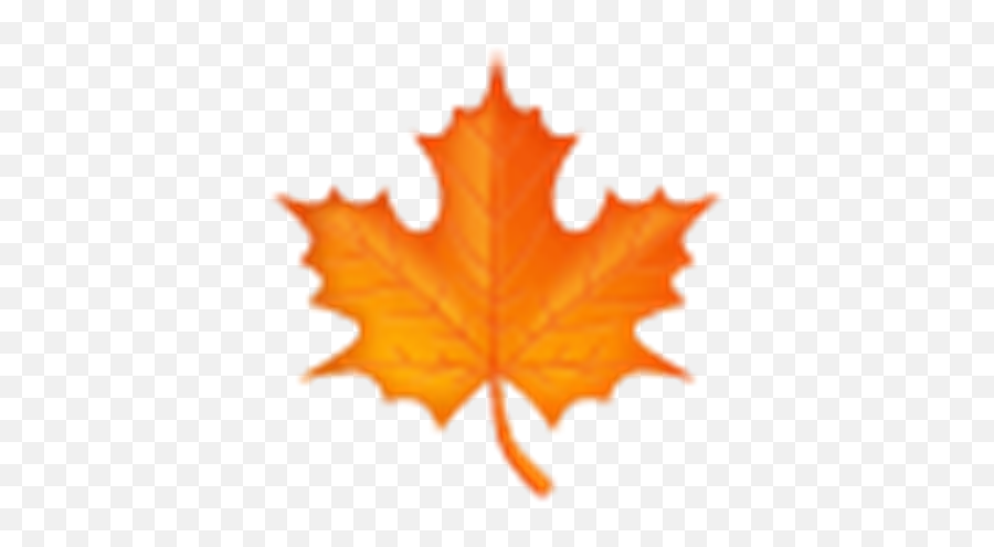 Say What Emojis And Text Talk Decoded For Parents - Fall Maple Leaf Png,Marijuana Emoji