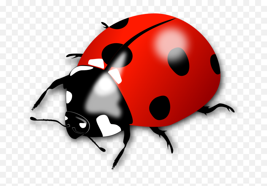 Insect - Clipart Lady Bird Emoji,Zzz Ant Ladybug Ant Emoji