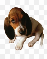 Free Sad Looking Dog PSD Vector Graphic - VectorHQcom Emoji