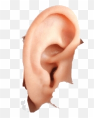 Hearing aid Hyperacusis Earwax - png download 850563 Emoji