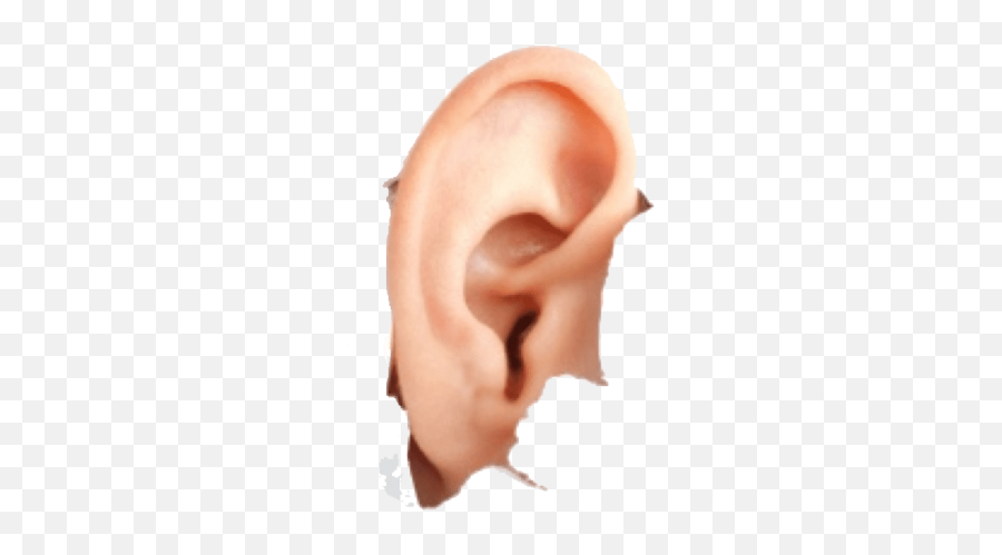 Hearing Aid Hyperacusis Earwax - Ear Png Download 850563 Hyperacusis Emoji,Hearing Aid Emoji