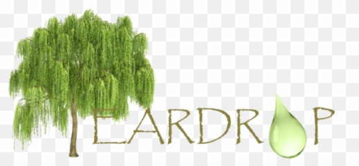 Willow Tree Cut Out Png Image With No - Emoji