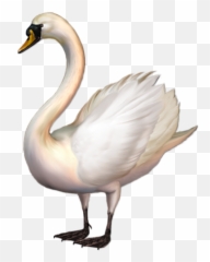 Swan Clipart Png - Swan Clipart Png Emoji,Swan Emoji