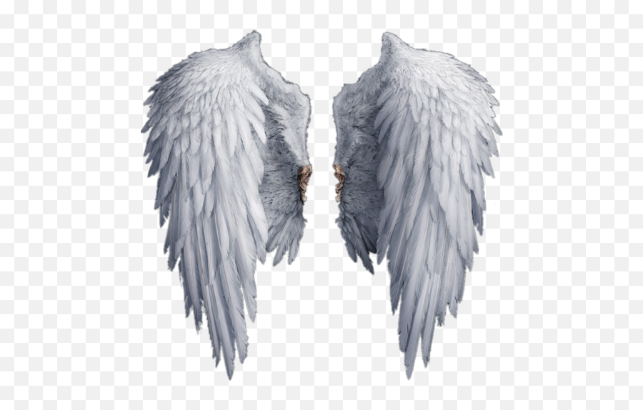 Stock Photography Drawing Clip Art - Realistic Angel Wings Png Emoji,Angel Wings Emoji