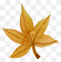 All UI Semantic - Maple Leaf Emoji
