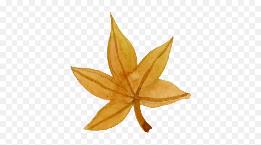 All Ui Semantic Ui - Maple Leaf Emoji,Sri Lanka Flag Emoji