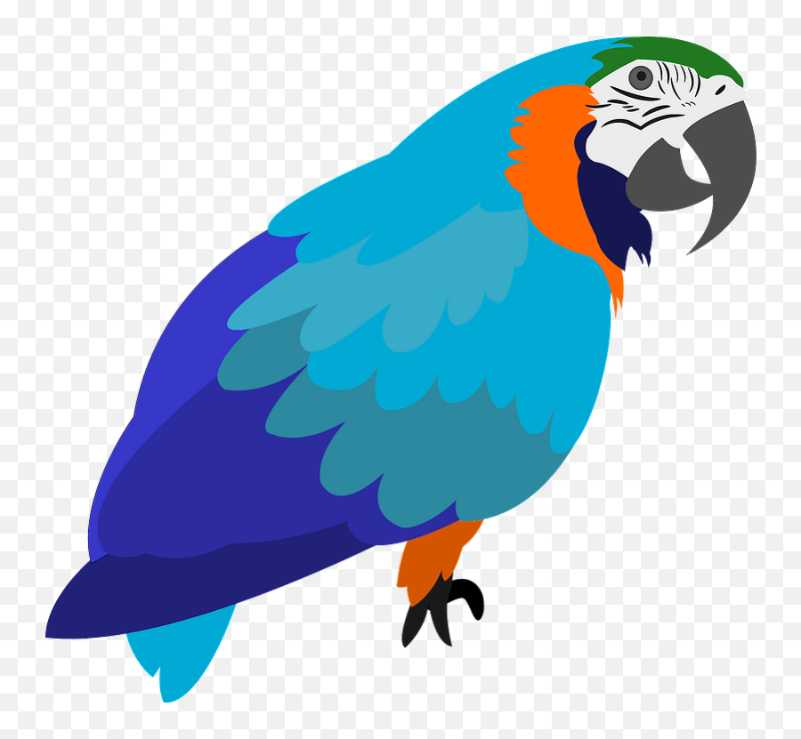Parrot Clipart Free Download Transparent Png Creazilla - Parrot Png Cartoon Transparent Emoji,Parrot Emoji