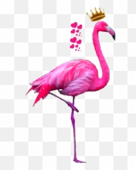 Flamingo Transparent Png Clipart Cute Flamingo Pink - Flamingo Png Emoji,Flamingo Emoji