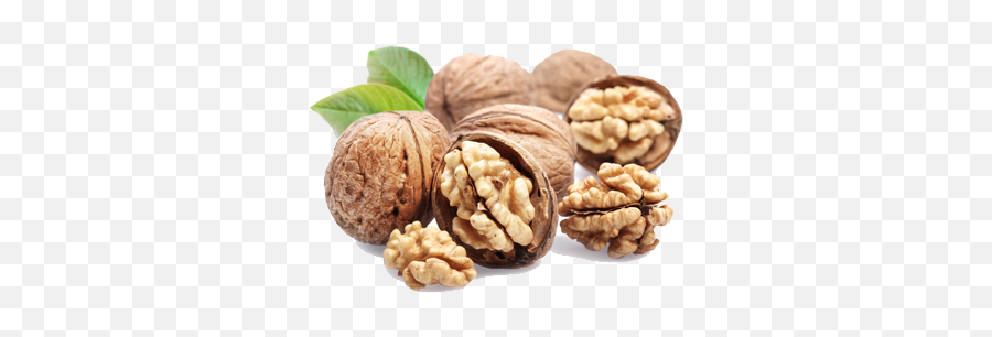 Download Walnut Png File Hq Png Image - Walnut Png Emoji,Walnut Emoji