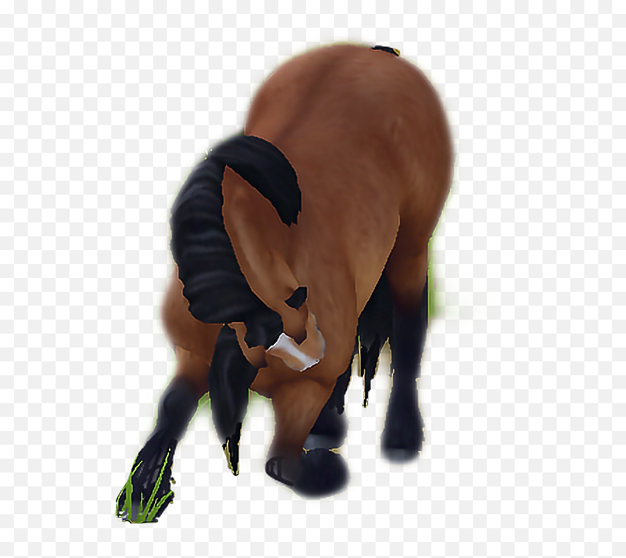 Figure Sso Pony Norvik Emoji Horse Hor - Mustang Horse,Horse Riding Emoji