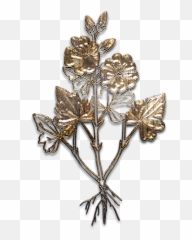 Free Aged Gold Gold Images - Brooch Textures Transparent Background Emoji,Bean Sprout Emoji