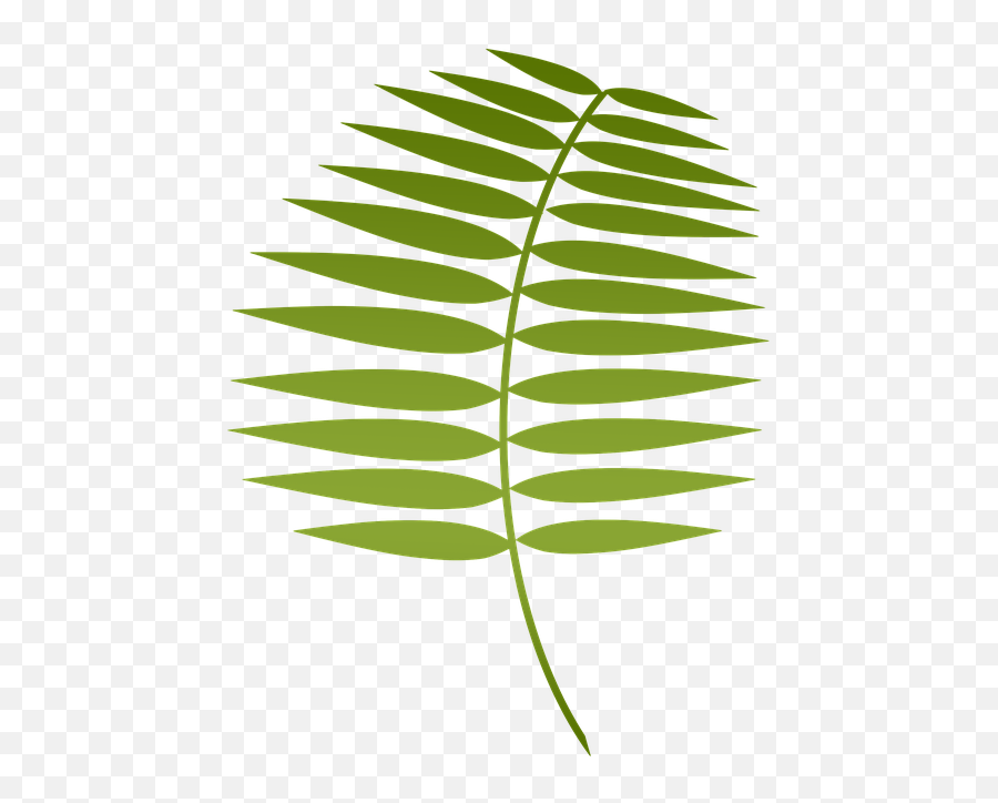 Lent Palm Holy - Lent Palms Transparent Emoji,Free Catholic Emojis