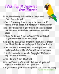 103 Best Bird Humor Images Humor Funny Birds Funny Parrots - Parakeet Emoji,Parrot Emoji