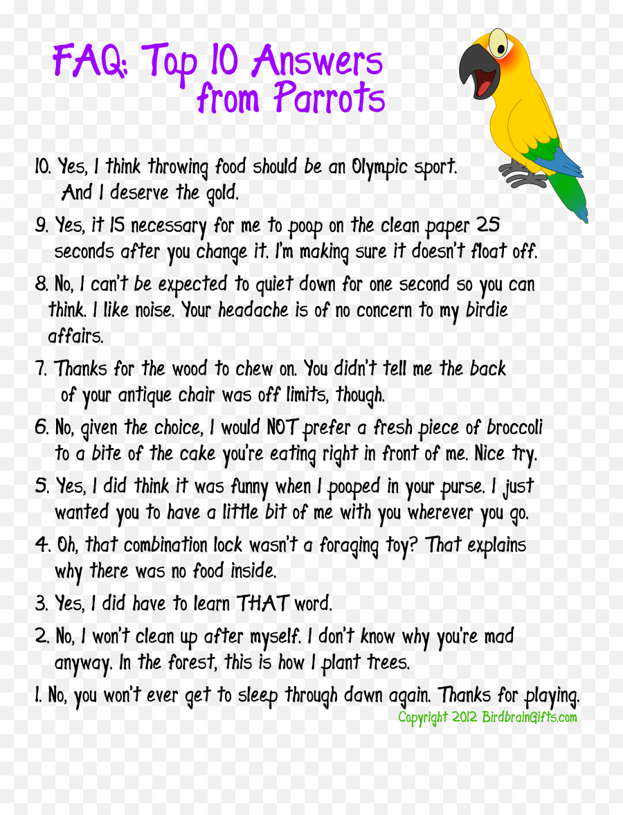 103 Best Bird Humor Images Humor Funny Birds Funny Parrots - Parakeet Emoji,Parrot Emoji