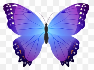 Pin by Jennifer Thompson JENS - BUTTERFLIES With images Butterfly Violet Png Emoji