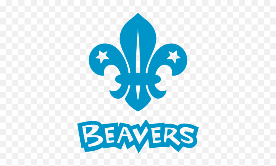 Pin - Beavers Scouts Uk Emoji,Scout Emoji