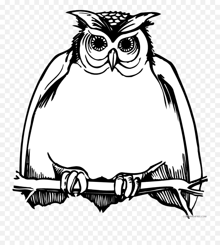 Owl On A Branch Coloring Pages Illustration Of A Fat Owl - Owls Cartoon Black And White Emoji,6 Owl Emoji