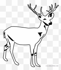 White Deer Coloring Pages Deer Head - Clip Art Black And White Dear Emoji,Buck Deer Emoji