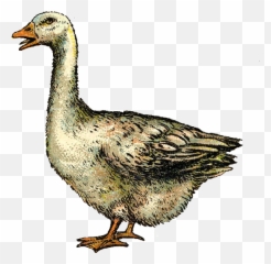 Top Black Swan Stickers For Android Ios - Vintage Goose Emoji,Swan Emoji