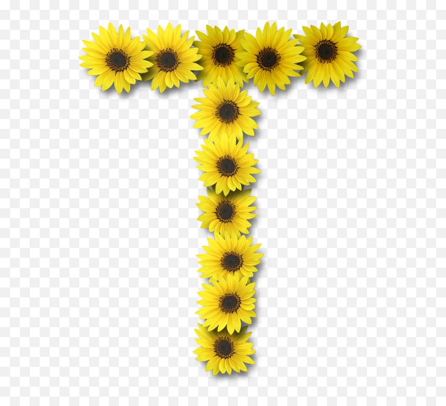 Alfabeto Sunflowers Arte Girassol Margaridas - Sunflower Letters Png Emoji,Sunflower Emoji