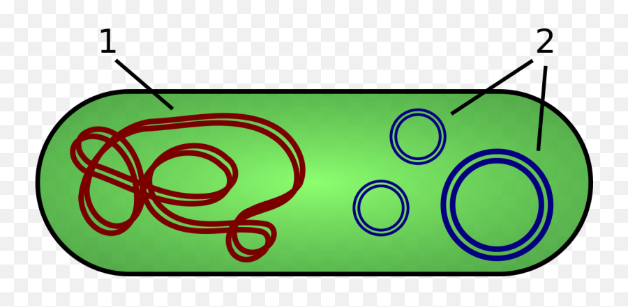 Plasmid - Plasmid Function Emoji,Dna Emoji