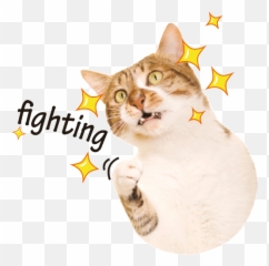 Free Online Emoticons Kitty Kitten Cat Vector For - Domestic Emoji