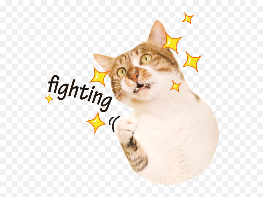 Free Online Emoticons Kitty Kitten Cat Vector For - Domestic Cat Emoji,Kitten Emoticons