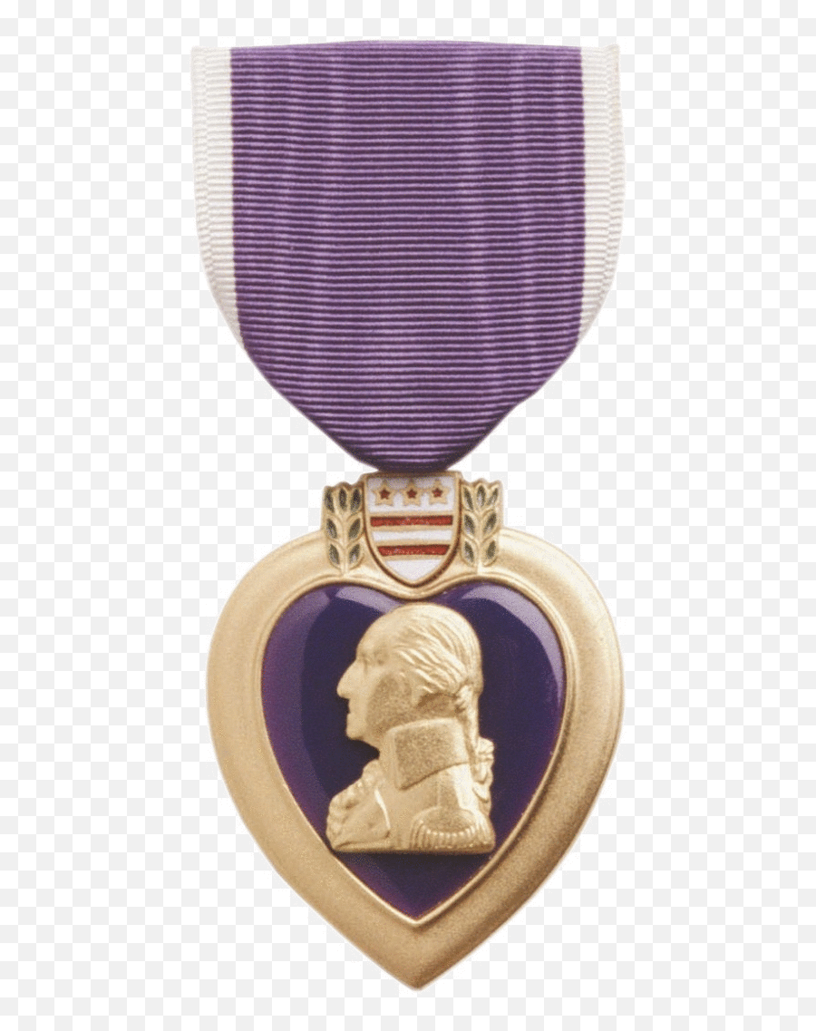 Picture - Purple Heart Medal Png Emoji,Silver Medal Emoji