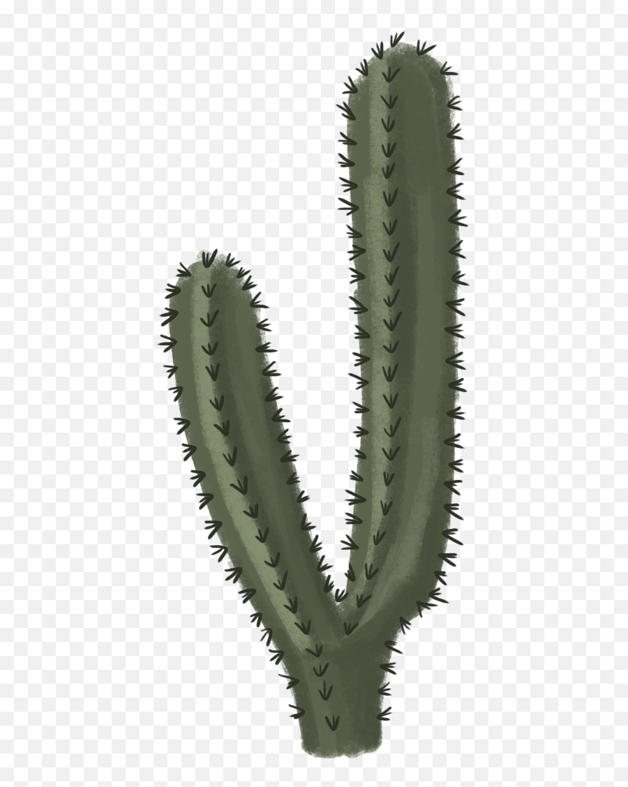 Cactus Transparent Png Cactus Free Picture Download - Transparent Cactus Png Emoji,Cactus Emoji