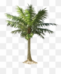 Christmas Tree Emoji Transparent Png - Palm White Background