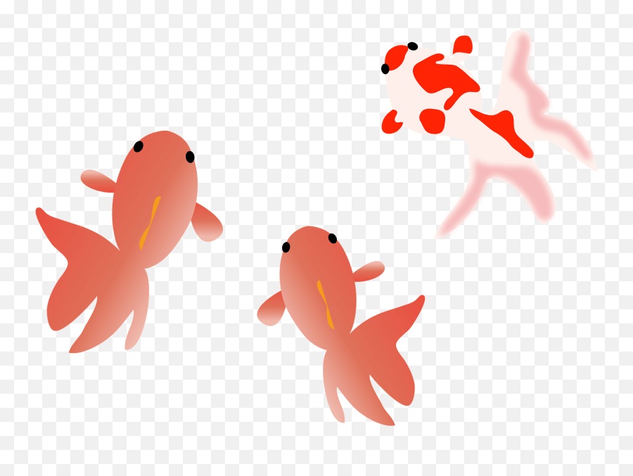Goldfish Clipart - Aquarium Fish Emoji,Goldfish Emoji