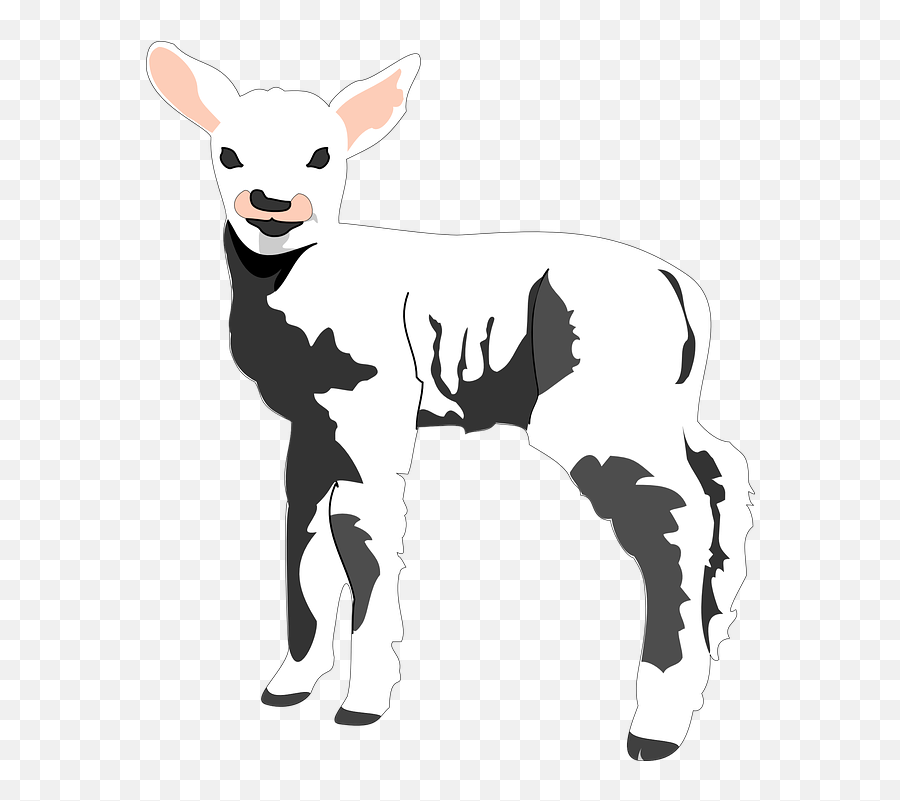 Free Lamb Sheep Illustrations - Lamb Clipart Emoji,Eye Roll Emoji